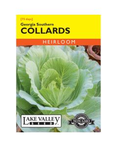 Brassica, Collards 'Georgia Southern' Heirloom