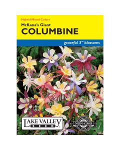 Aquilegia, Columbine 'McKana’s Giant' Mixed Colors