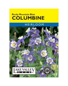 Aquilegia, Columbine 'Rocky Mountain Blue'