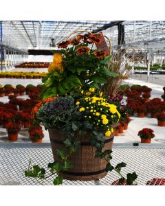 'Awesome Autumn' Fall Combo Patio Planter
