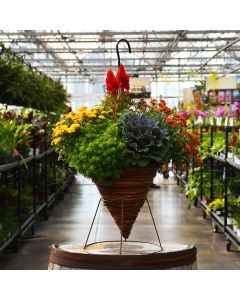 'Awesome Autumn' Fall Combo Hanging Basket