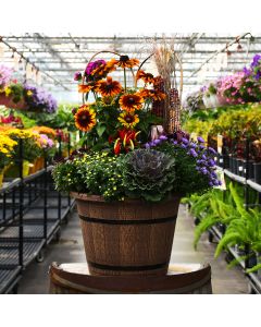 'Awesome Autumn' Fall Combo with Accent