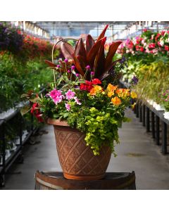 'Awesome Combo Summer' Patio Planter