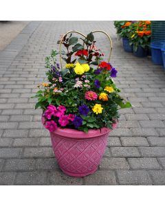 'Awesome Combo Summer' Patio Planter