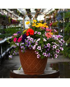'Awesome Combo' Patio Planter