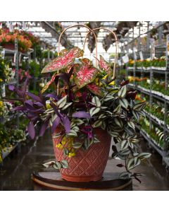 'Awesome Shade Combo' Patio Planter