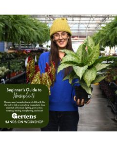 Beginners Guide to Houseplants | Saturday March 14th at12pm