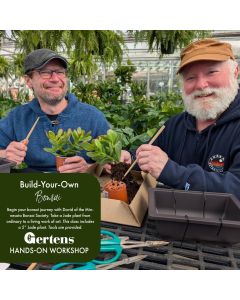 Jade Bonsai Workshop | March 15th at 10am