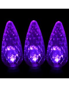 Gabriel Lights® LED C6 Facet Purple String Lights