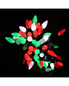 Gabriel Lights® LED C9 Facet Green Red & Frost Cool White Sparkle String Lights