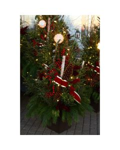 'Christmas Spirit' Spruce Tip Container with Lights