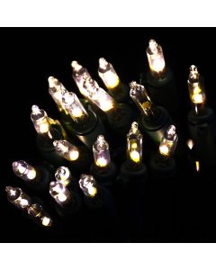 Gabriel Lights® LED Classic T5 Warm White Twinkle String Lights