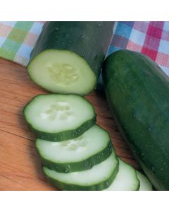 Cucumis, Cucumber 'Burpless'