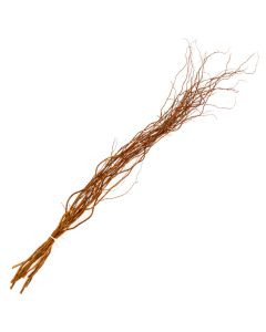 Willow, Curly Willow Tips, Small