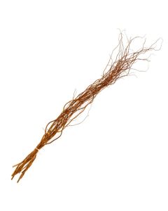 Willow, Curly Willow Tips, Medium 