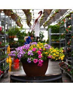 'Designer Combo Pink' Hanging Basket