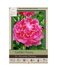 Paeonia, Garden Peony 'Dr. Alexander Fleming' 