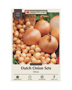 Allium, Dutch Onion Sets 'Stuttgarter Riesen'