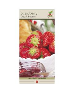 Fragaria, Strawberry 'Ozark Beauty'
