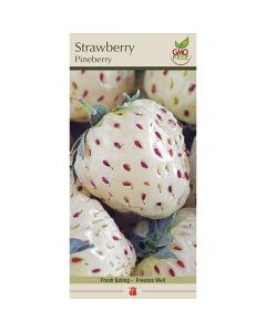 Fragaria, Strawberry 'Pineberry'