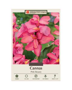 Canna, Dwarf Cannas 'Pink Beauty'