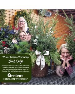 Dine & Design Winter Greens Container Workshop | Tuesday November 18 5:30pm