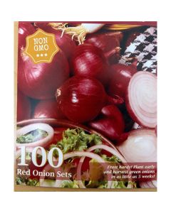 Allium, Red Onion Set 'Karmen'