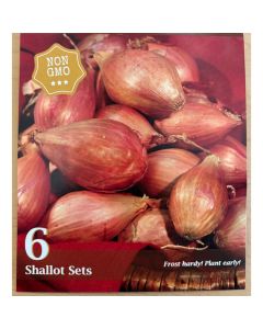Allium, Shallot Sets