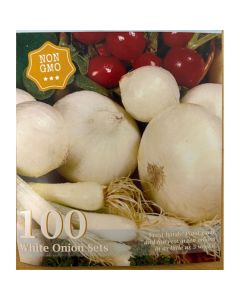 Allium, White Onion Set 'Snowball'