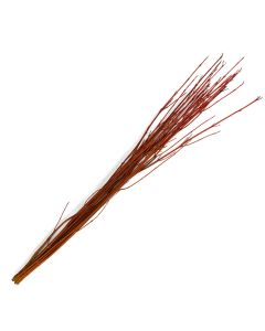 Branches, Dogwood 'Cardinal Red'