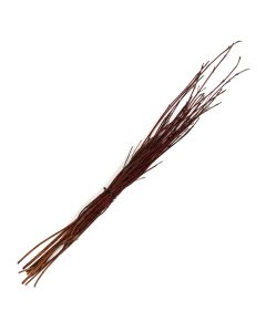 Dogwood Twigs 'Red'
