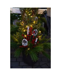 'Deluxe Doorstep Charmer' Spruce Tip Square Container with Lights