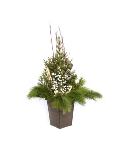 'Deluxe Doorstep Charmer' Spruce Tip Square Container with White Accents