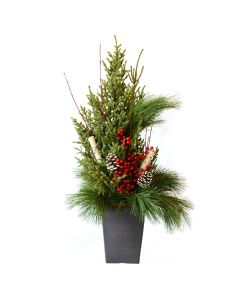 'Deluxe Doorstep Charmer' Spruce Tip Square Container