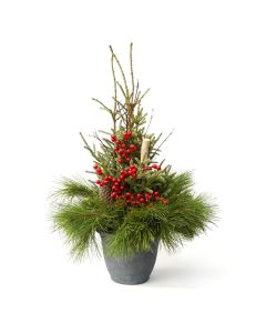 'Deluxe Doorstep Charmer' Spruce Tip Round Container