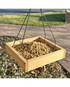 hungrybird® Peanut Butter Energy Complete™ High Protein Suet Bites 3 lb