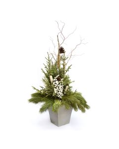 'Elegant Designer' Spruce Tip Container with White Accents