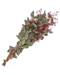 Eucalyptus with Seed Heads 'Burgundy'