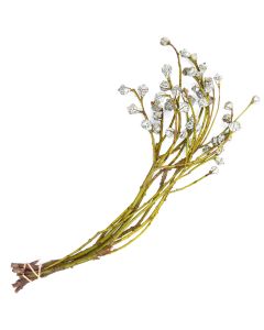 Eucalyptus with Silver Bells Pods