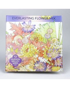 Garden Mix 'Everlasting' ~ 500 seeds