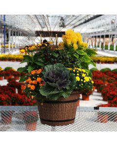 'Festive Fall Combo' Patio Planter