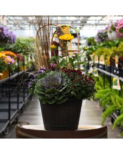 'Festive Fall Combo' Patio Planter with Accent