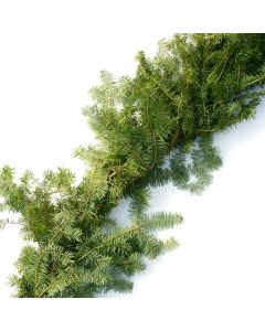 Balsam Fir Roping Garland