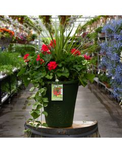 Geranium, Mojo™ 'Cranberry Splash' Patio Planter with Spike