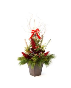 'Grande Entrance' Spruce Tip Container