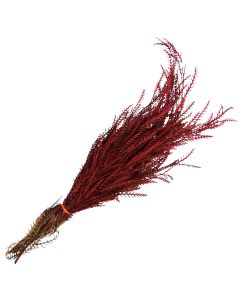 Grevillea Ivanhoe, Dipped 'Red'