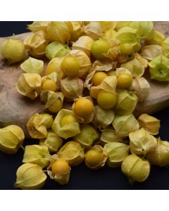 Ground Cherry