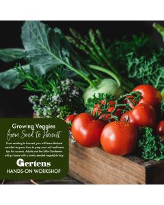 Growing Veggies from Seed to Harvest | Saturday March 28th at 9am