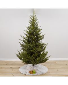 Minnesota Pengilly Fir Unlit, Gabriel Tree® Artificial Christmas Tree
