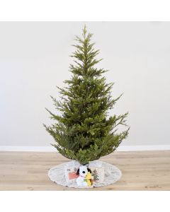 Saint Croix Fir Unlit, Gabriel Tree® Artificial Christmas Tree